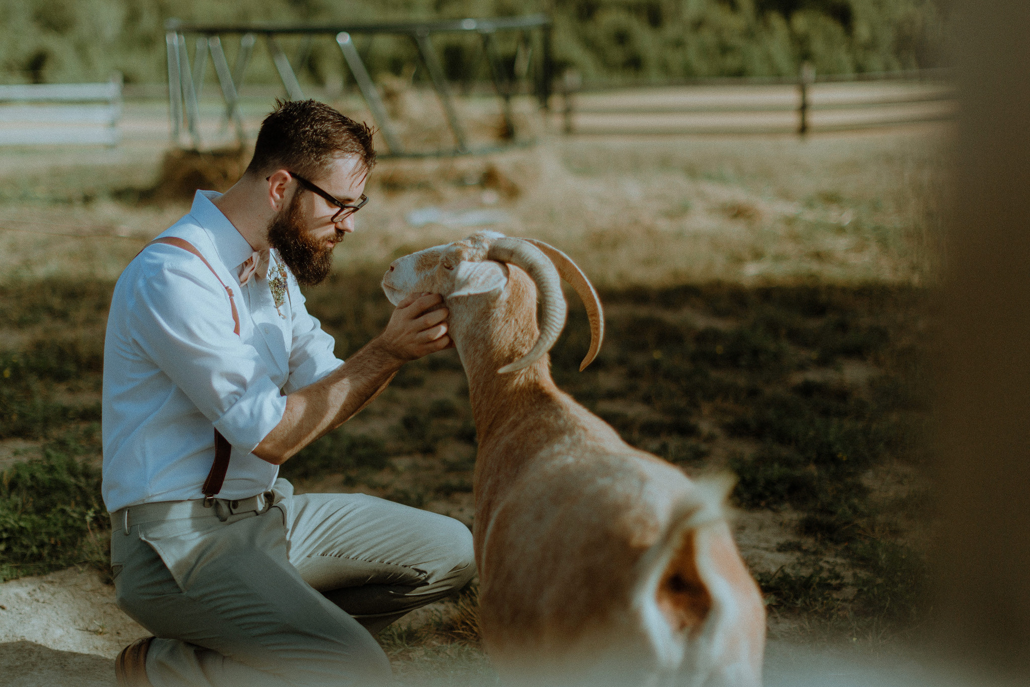 Groom with a goat at gorgeous outdoor barn wedding 